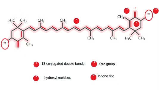 Astaxanthin%20Molecule