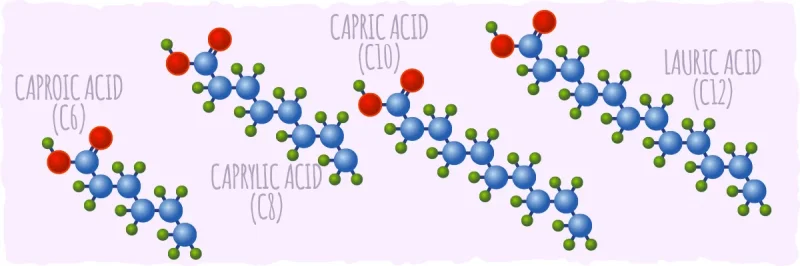 mct specifics the different types of medium chain triglycerides